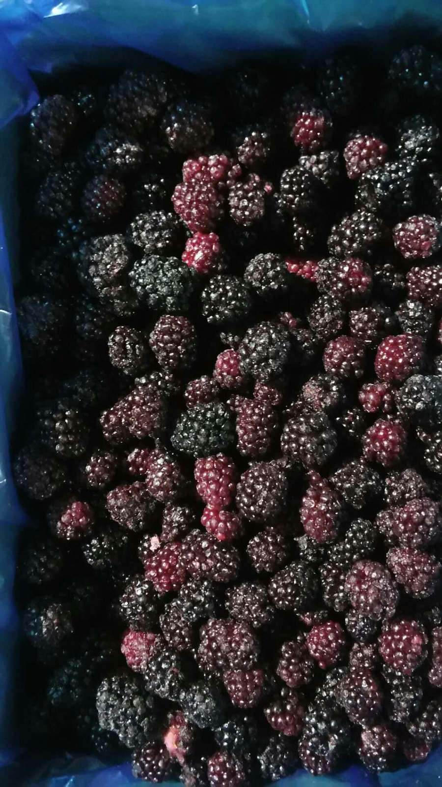 冷冻黑莓