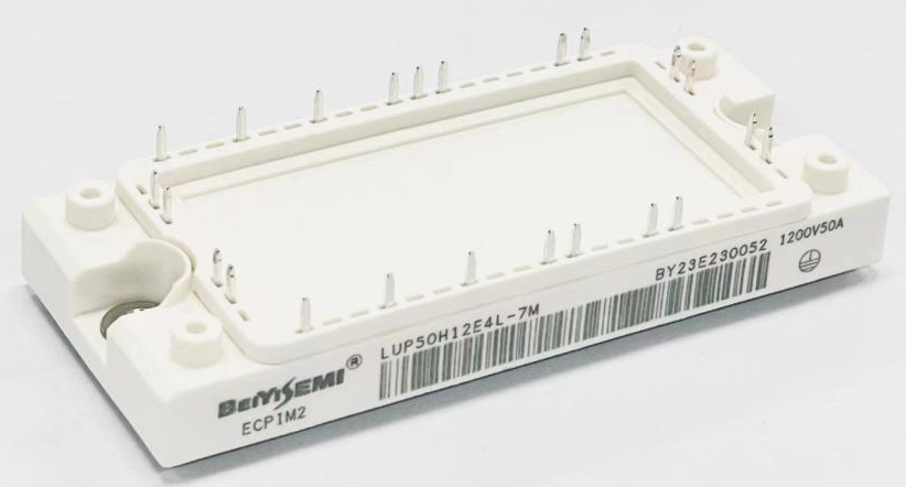 ECPIM