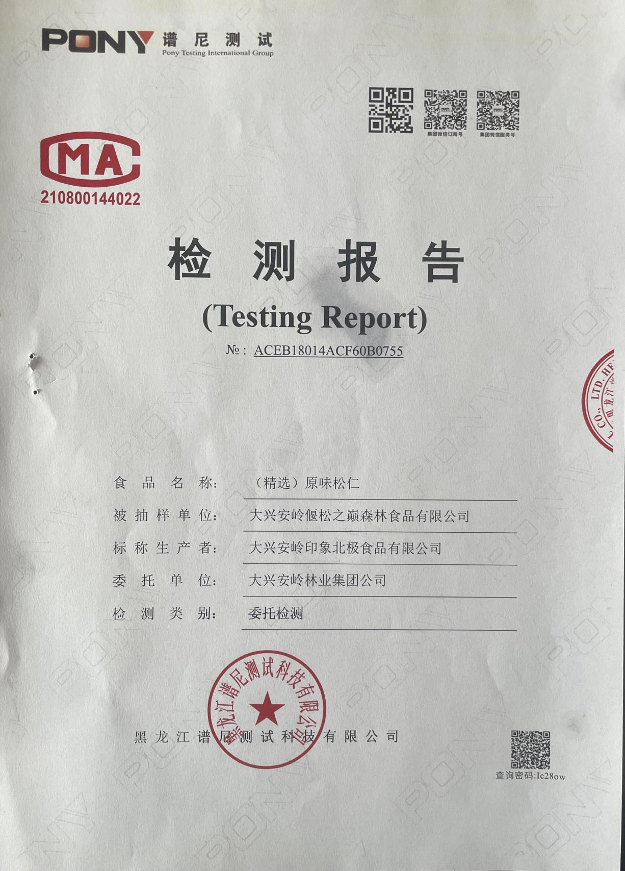 检查报告
