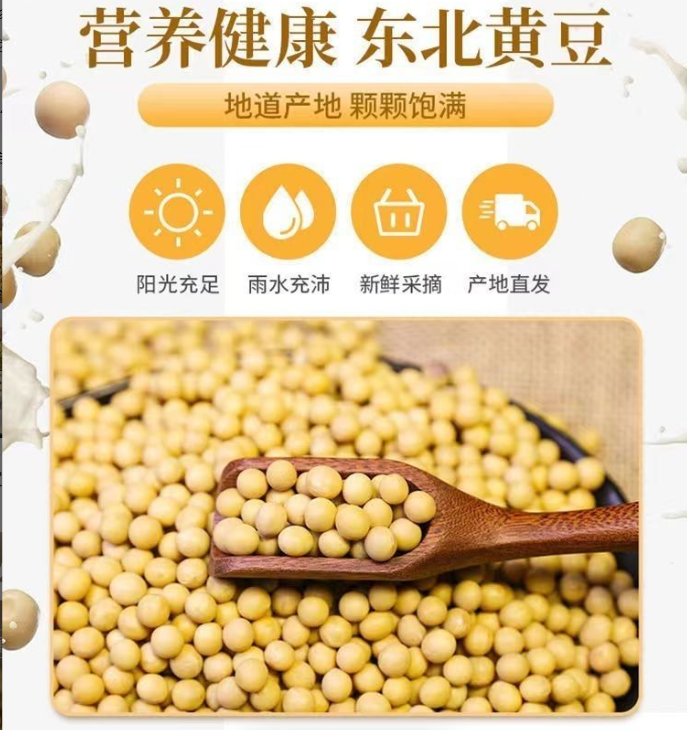 非转基因豆腐大豆豆芽高蛋白