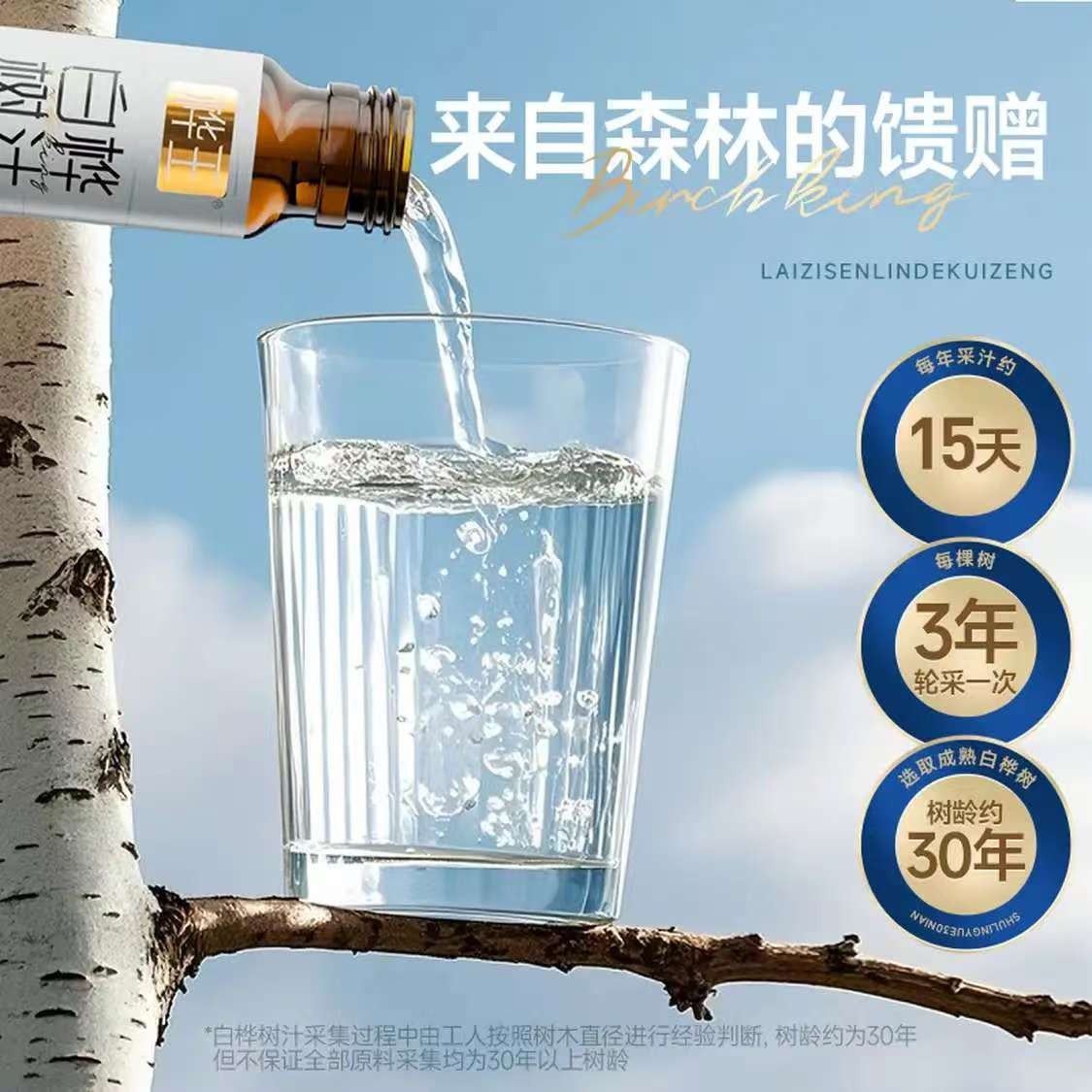 白桦树汁