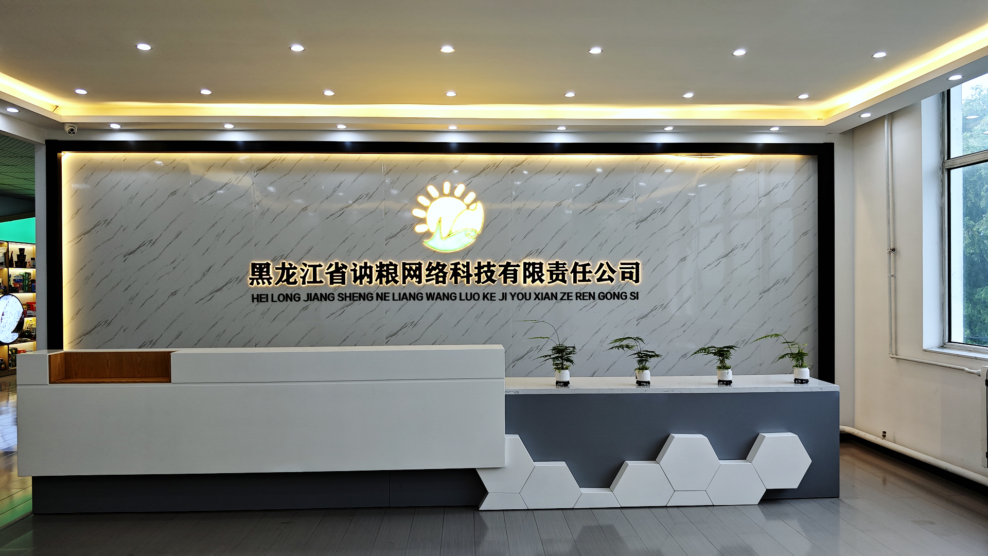 公司介绍