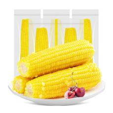 Glutinous corn