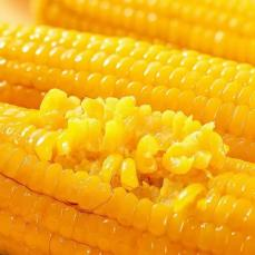 Glutinous corn