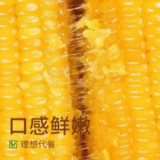 Glutinous corn