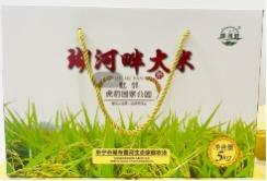 Rice on the banks of the Hua River