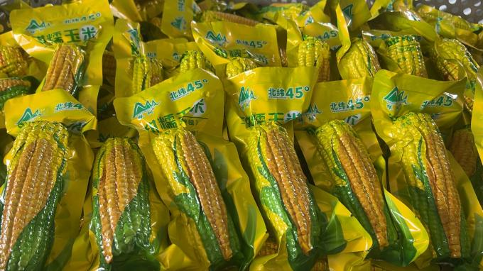 Sweet and glutinous corn