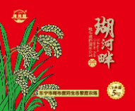 Rice on the banks of the Hua River