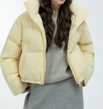 冬季新款韩版羽绒服女短款立领纯色休闲百搭多色（国贸杜智慧）